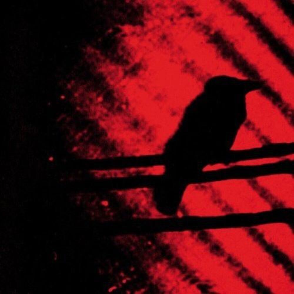 A Silver Mt. Zion - Born Into Trouble As the Sparks Fly Upward  CD